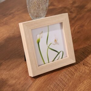 Aesthetic mini frames